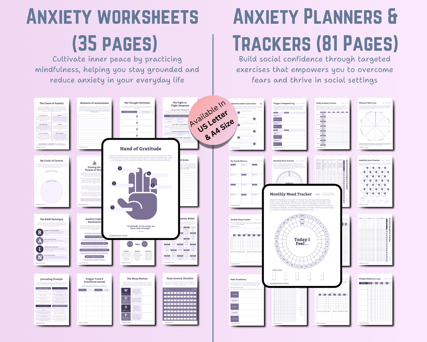 Anxiety Ultimate Toolbox - Brain Wave Focus